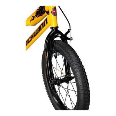 schwinn scorch 16