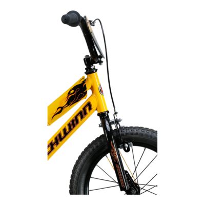 schwinn kids mountain bike