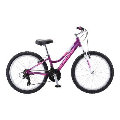 schwinn bike 24
