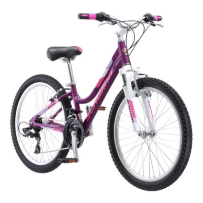 sport chek girls bike