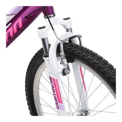 schwinn girls mountain bike