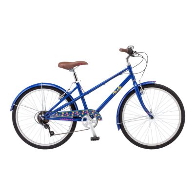 blue schwinn bike