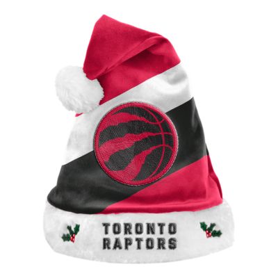 toronto raptors beanie