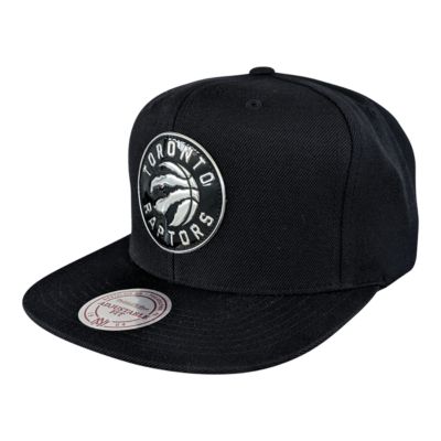 toronto raptors cap mitchell and ness