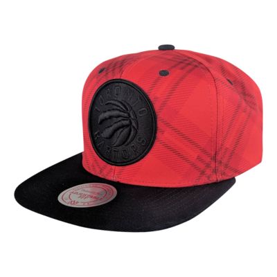 toronto raptors snapback