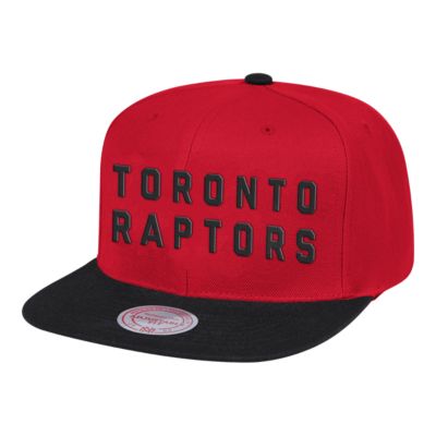 mitchell and ness raptors hat