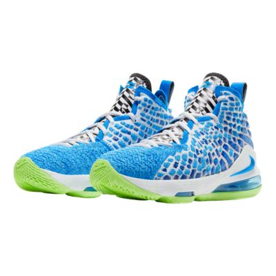 lebron shoes kids blue