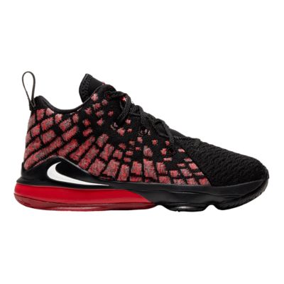 lebron james basketball shoes