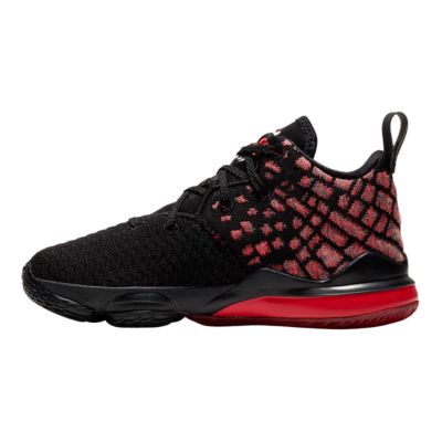 sport chek lebron shoes