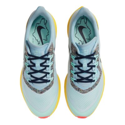 sport chek nike pegasus