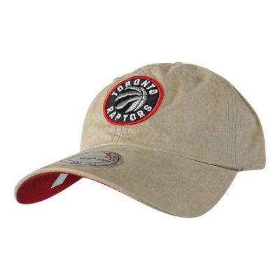 raptors dad cap