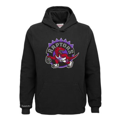 toronto raptors retro hoodie