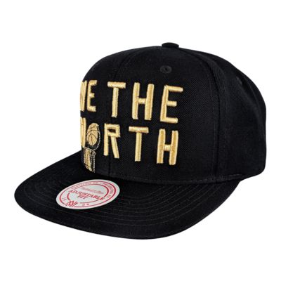 toronto raptors champion cap