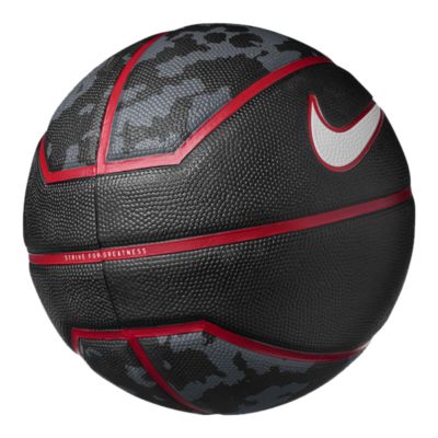 lebron james playground basketball