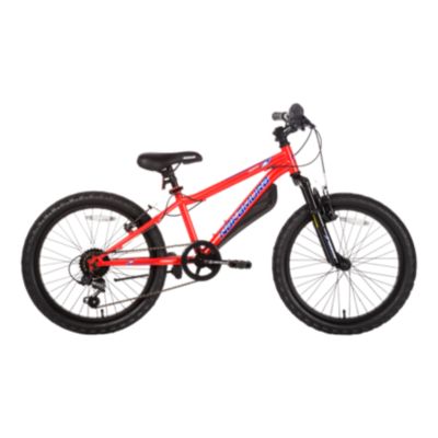 sport chek 20 inch bike