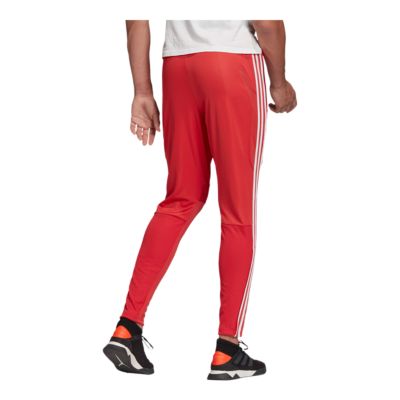 tiro 19 training pants red