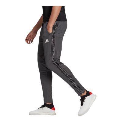 adidas men's tiro 19 soccer training pants