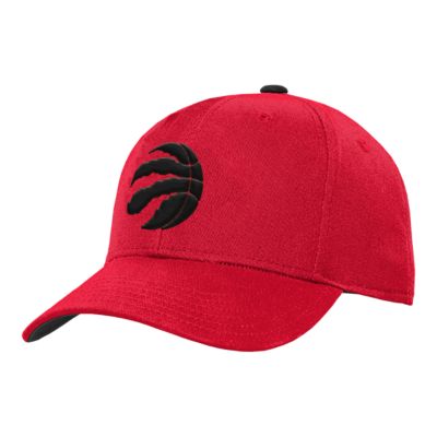 Youth Toronto Raptors Precurve Snapback Cap Sport Chek