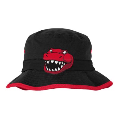 raptors infant hat