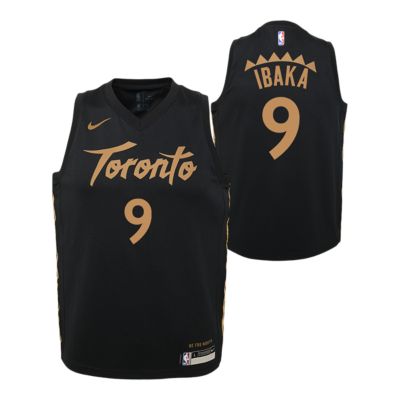 sport chek toronto raptors