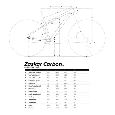 zaskar carbon comp