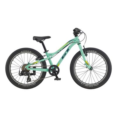 gt boys mountain bike