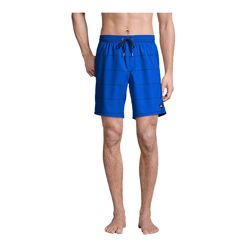 O'Neill Men's PM Mini Stripe 18 Inch Swim Shorts | Sport Chek