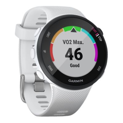 garmin forerunner 45 sportchek