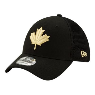 toronto raptors 39thirty hat