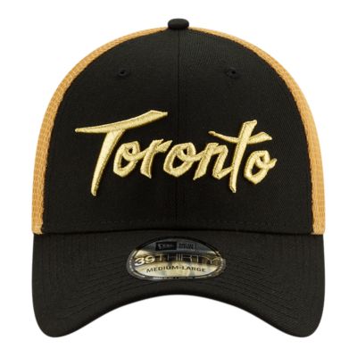 toronto raptors 39thirty hat