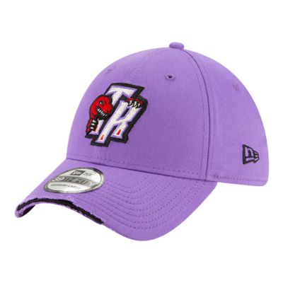 raptors hat sport chek
