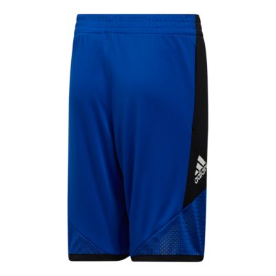 boys white adidas shorts