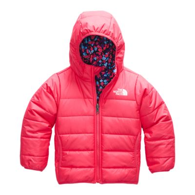 The North Face Toddler Girls' Perrito 