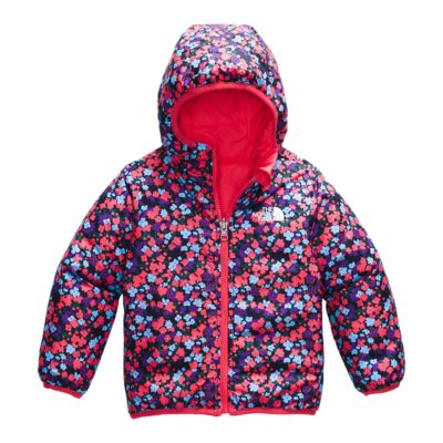 toddler girl north face jacket