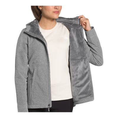 north face women's shelbe raschel soft shell jacket