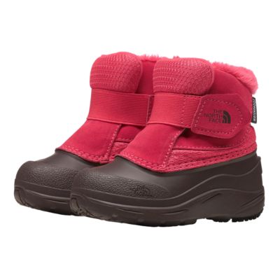 The North Face Toddler Girls' Alpenglow 