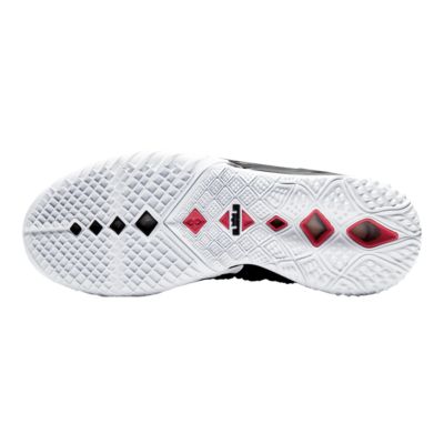 lebron 18s elite