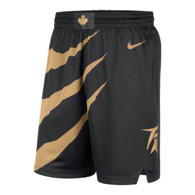 raptors nike shorts