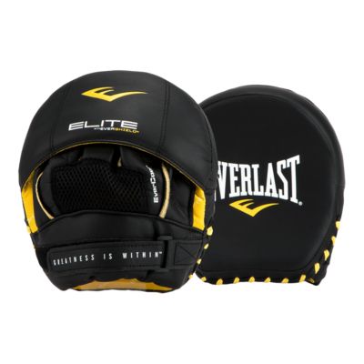 everlast focus mitts
