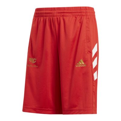 boys adidas football shorts