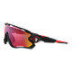 Oakley Jawbreaker Sunglasses