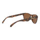 Oakley Frogskins XS Sunglasses