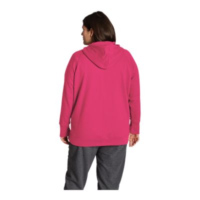 champion hoodie plus size