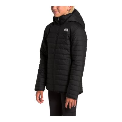 the north face mossbud swirl parka