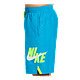 Nike Men's Palm Vital 9 Inch Volley Shorts