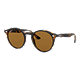 Ray-Ban 2180 B-15 Polarized Sunglasses