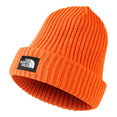 the north face men's salty dog beanie