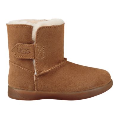 toddlee uggs