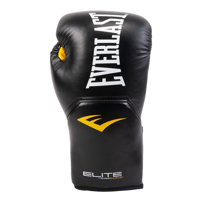 Everlast Pro Style Elite 2.0 10 oz Training Gloves | Sport Chek