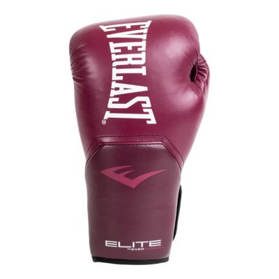 Everlast Pro Style Elite 2.0 10 oz Training Gloves Sport Chek